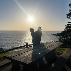 Meet your Posher, Lilly